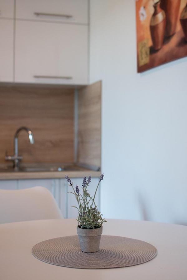 Lavanda House With Apartments Buje Dış mekan fotoğraf